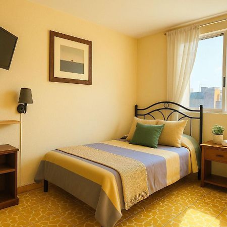 Los Nardos Hostel -Pet Friendly- オアハカ州 エクステリア 写真