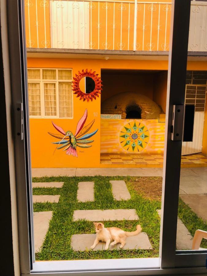 Los Nardos Hostel -Pet Friendly- オアハカ州 エクステリア 写真