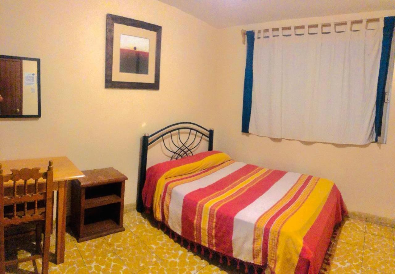 Los Nardos Hostel -Pet Friendly- オアハカ州 エクステリア 写真