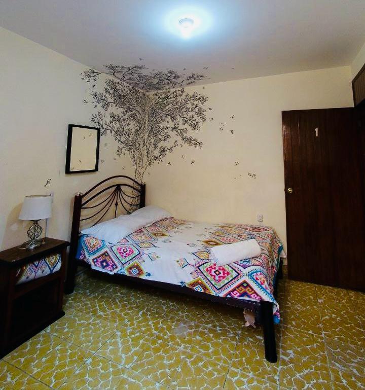 Los Nardos Hostel -Pet Friendly- オアハカ州 エクステリア 写真