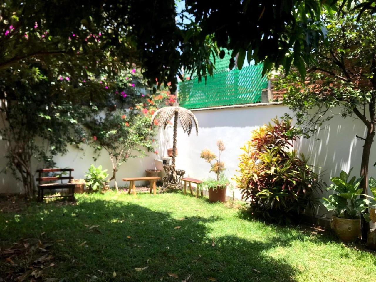 Los Nardos Hostel -Pet Friendly- オアハカ州 エクステリア 写真