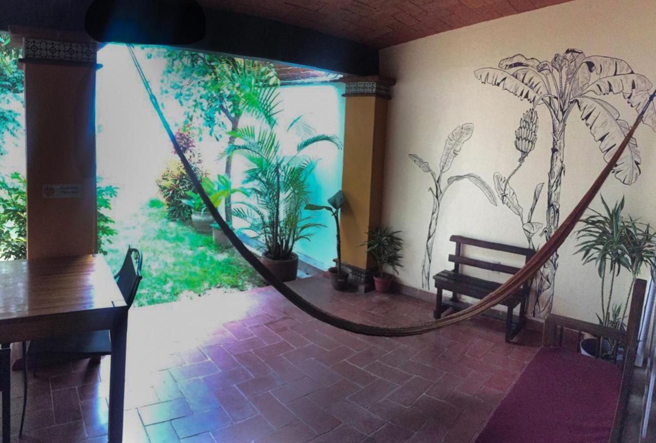 Los Nardos Hostel -Pet Friendly- オアハカ州 エクステリア 写真