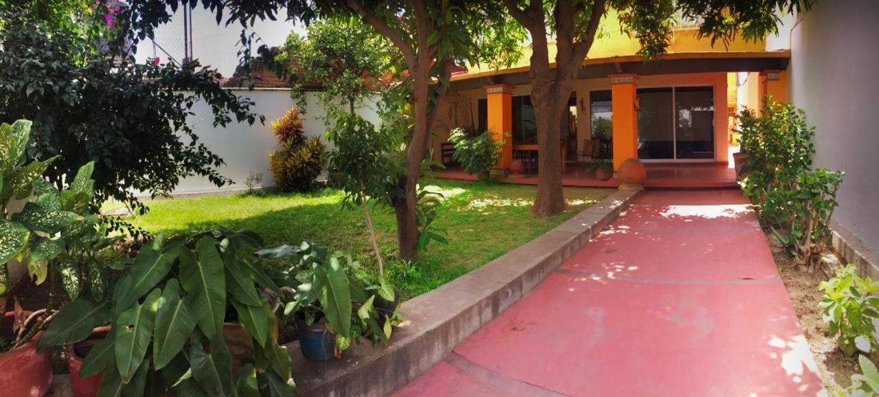 Los Nardos Hostel -Pet Friendly- オアハカ州 エクステリア 写真