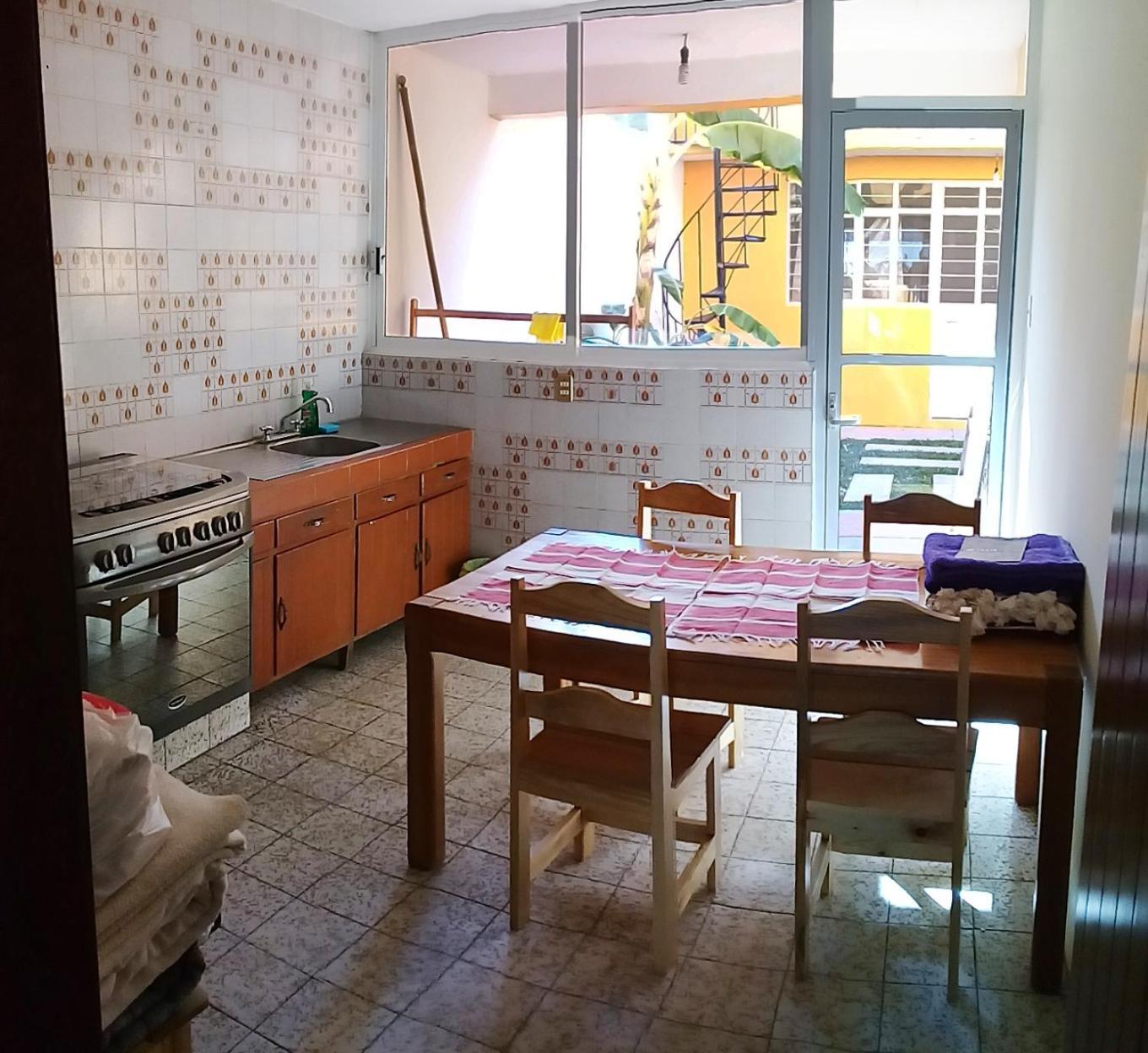 Los Nardos Hostel -Pet Friendly- オアハカ州 エクステリア 写真
